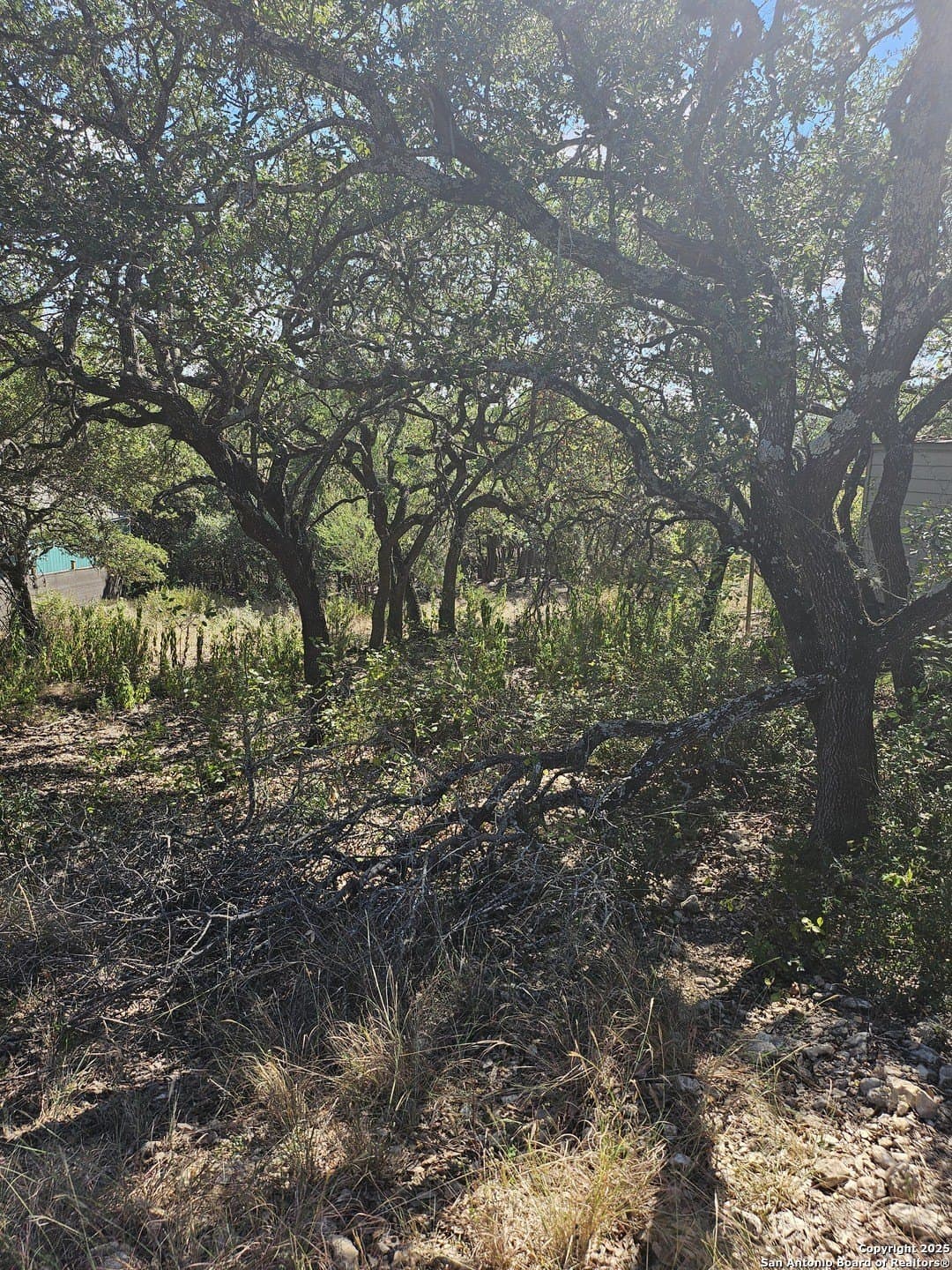 0.14 acres in Comal County - photo 7