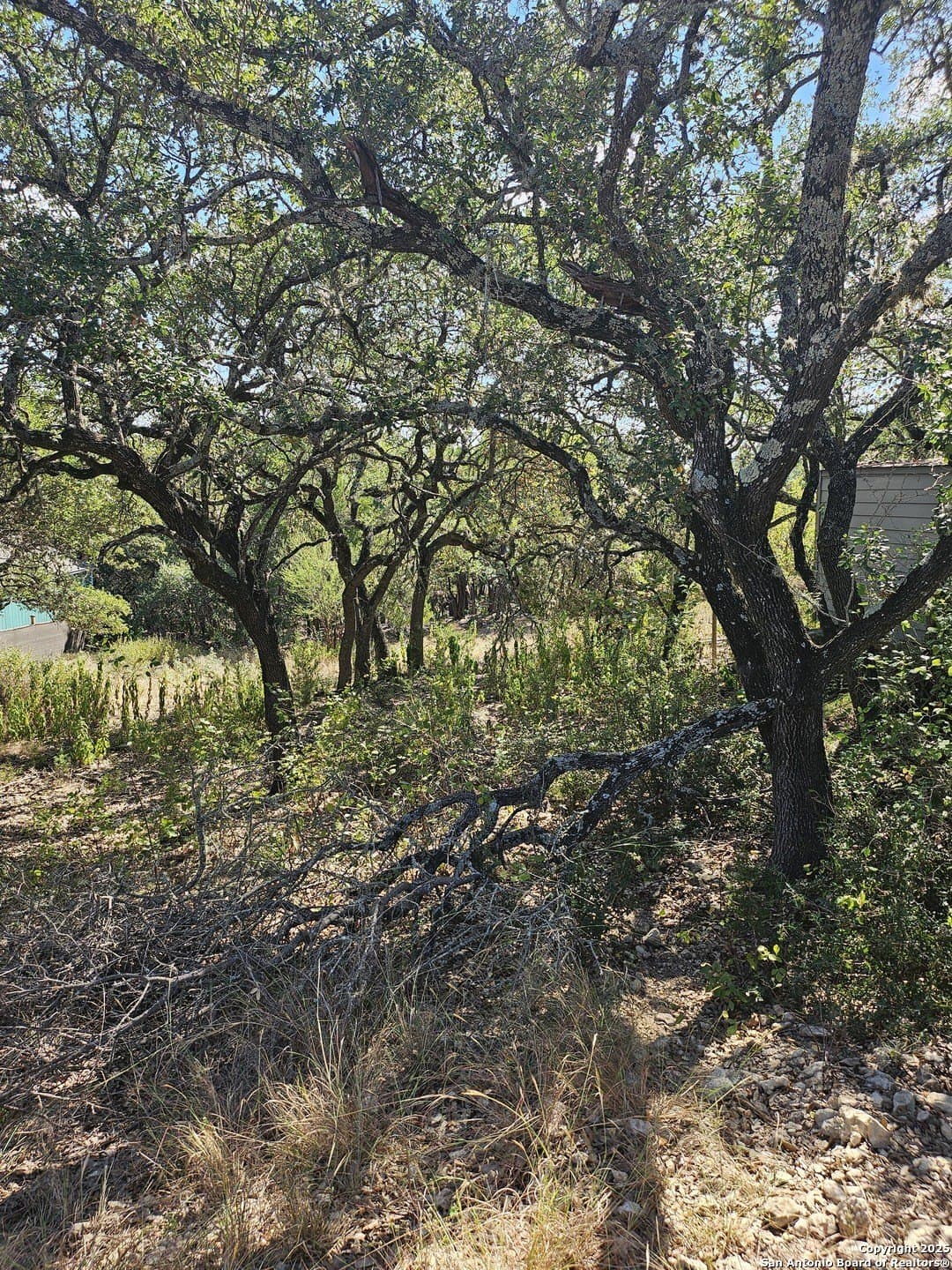 0.14 acres in Comal County - photo 5