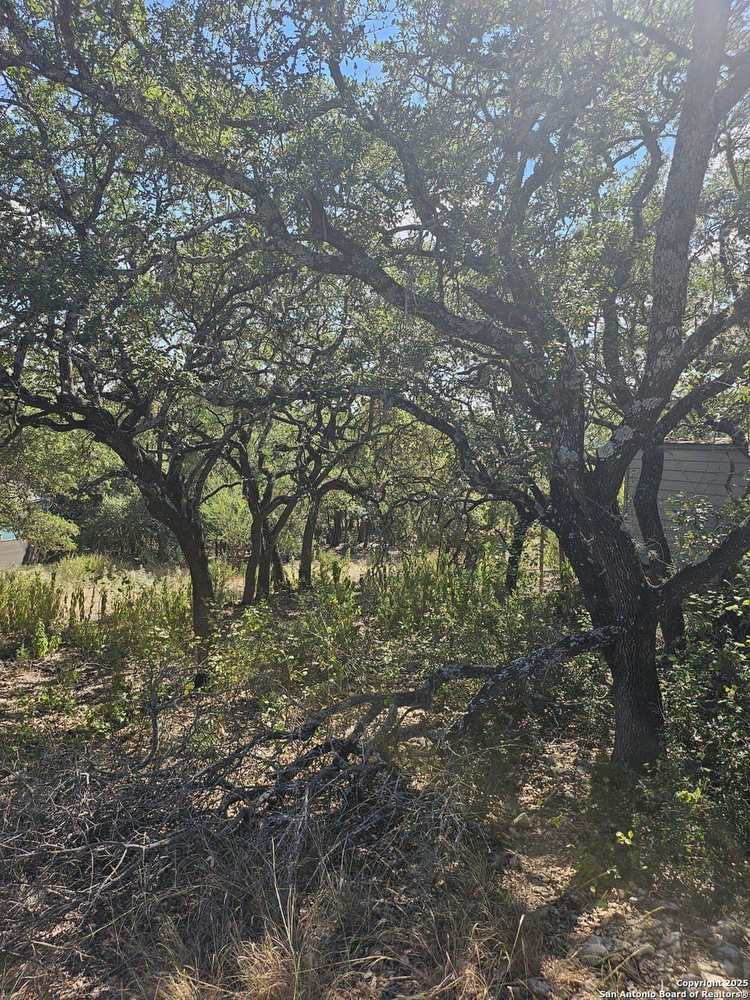 0.14 acres in Comal County - photo 4