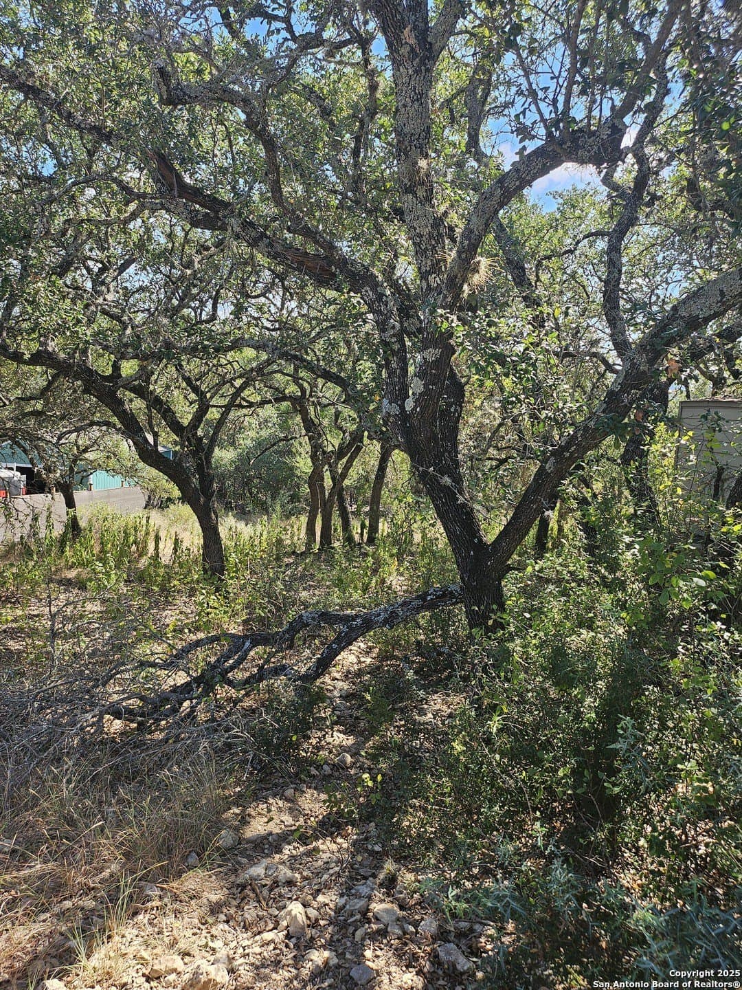 0.14 acres in Comal County - photo 3