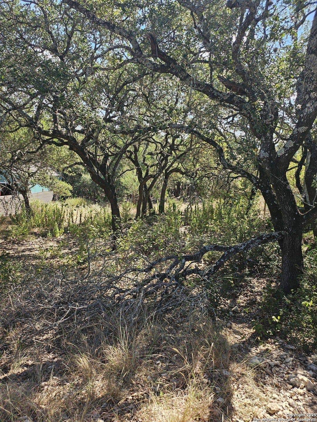 0.14 acres in Comal County - photo 6
