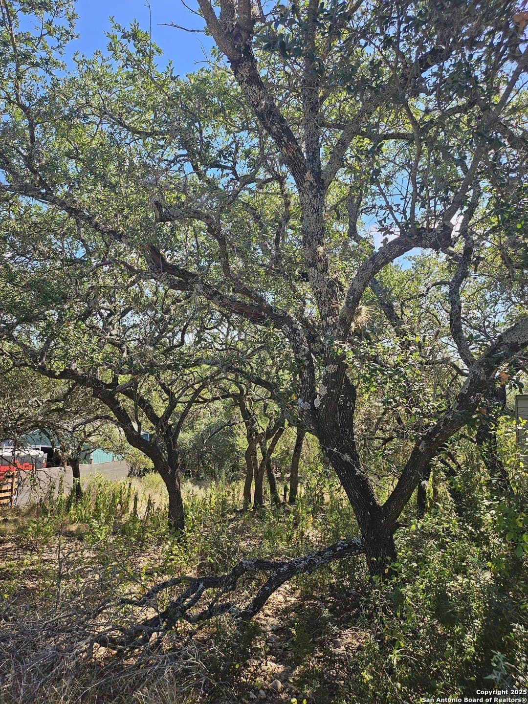 0.14 acres in Comal County - photo 2
