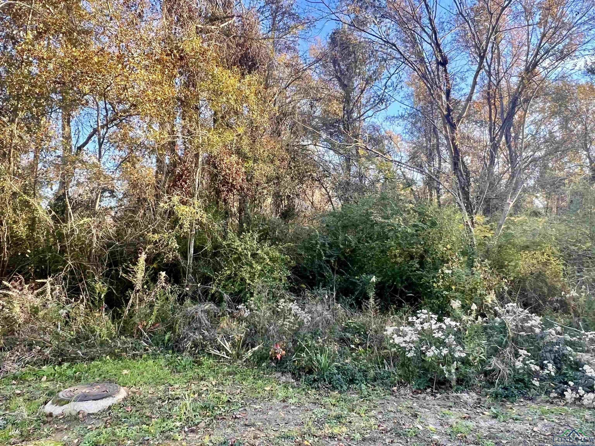 0.46 acres in Harrison County - photo 8