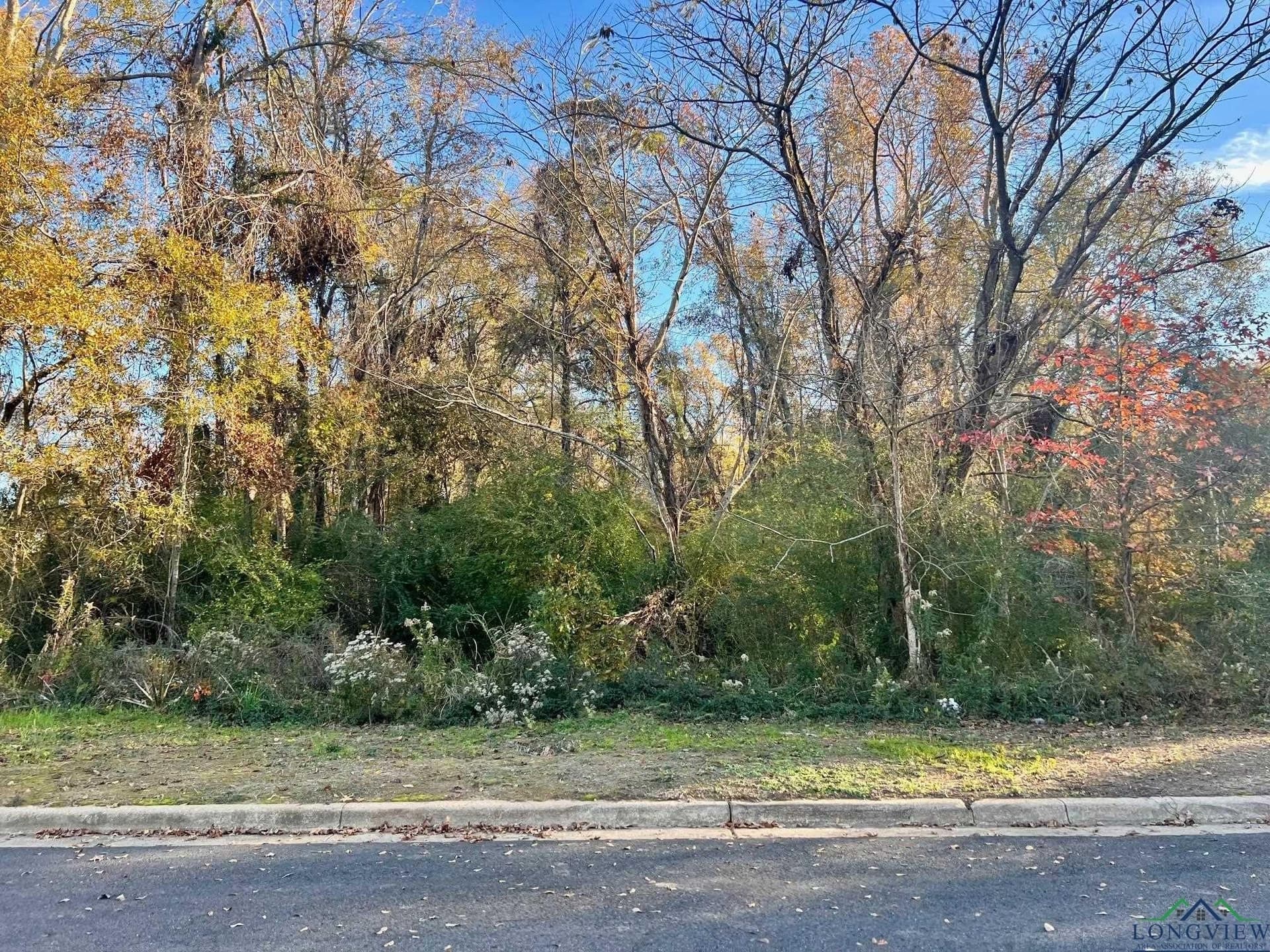 0.46 acres in Harrison County - photo 2