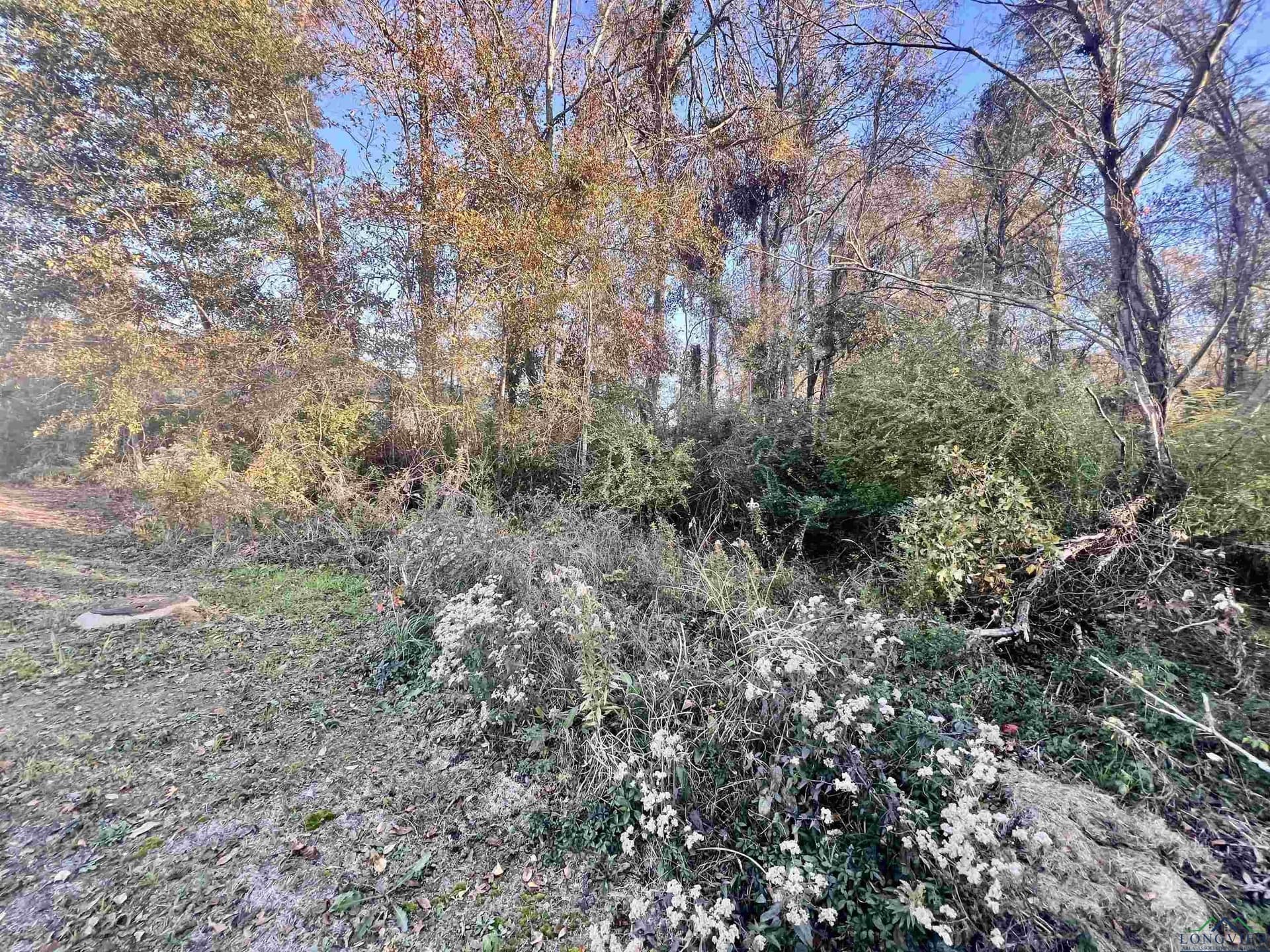 0.46 acres in Harrison County - photo 5