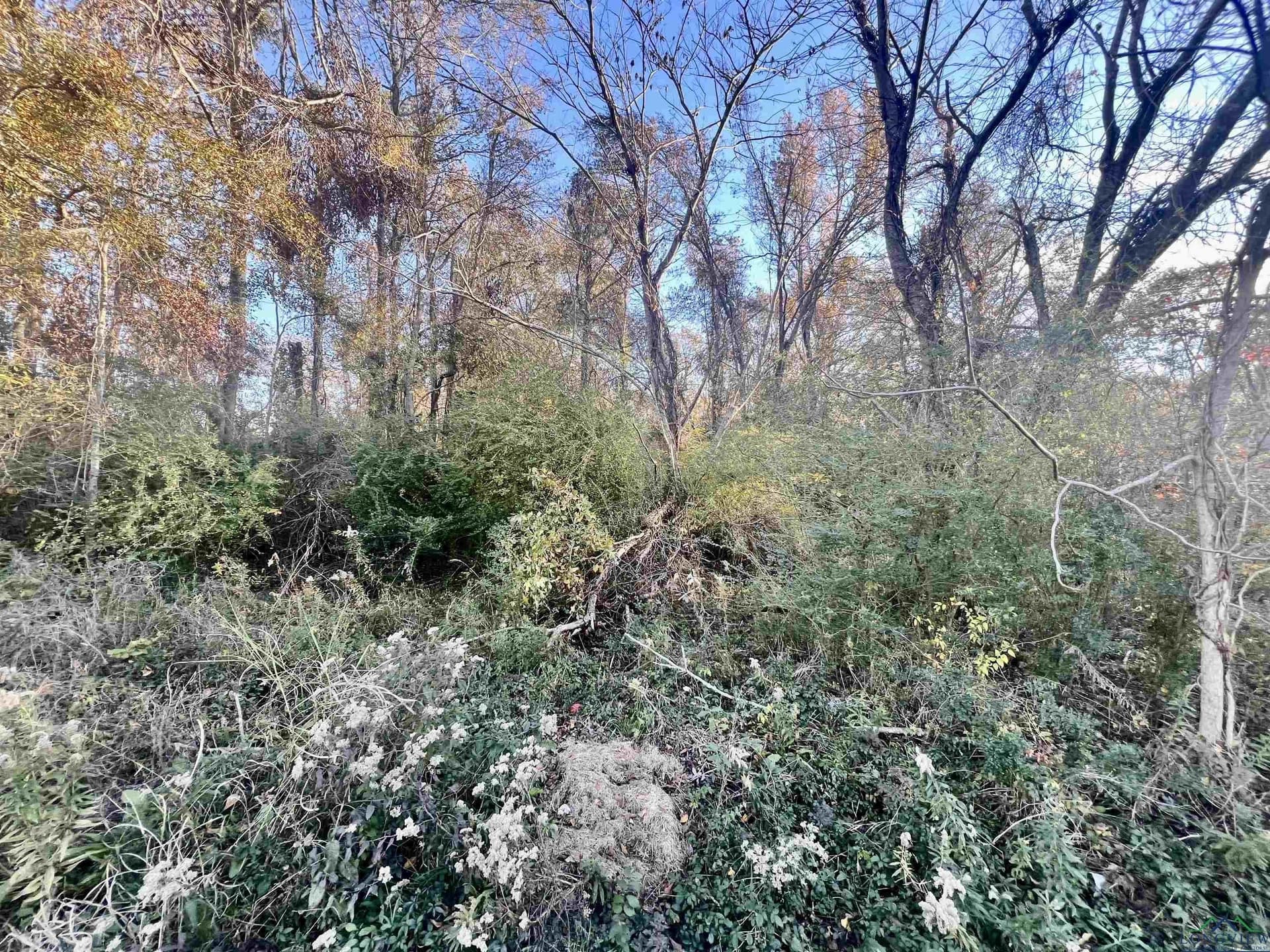 0.46 acres in Harrison County - photo 7