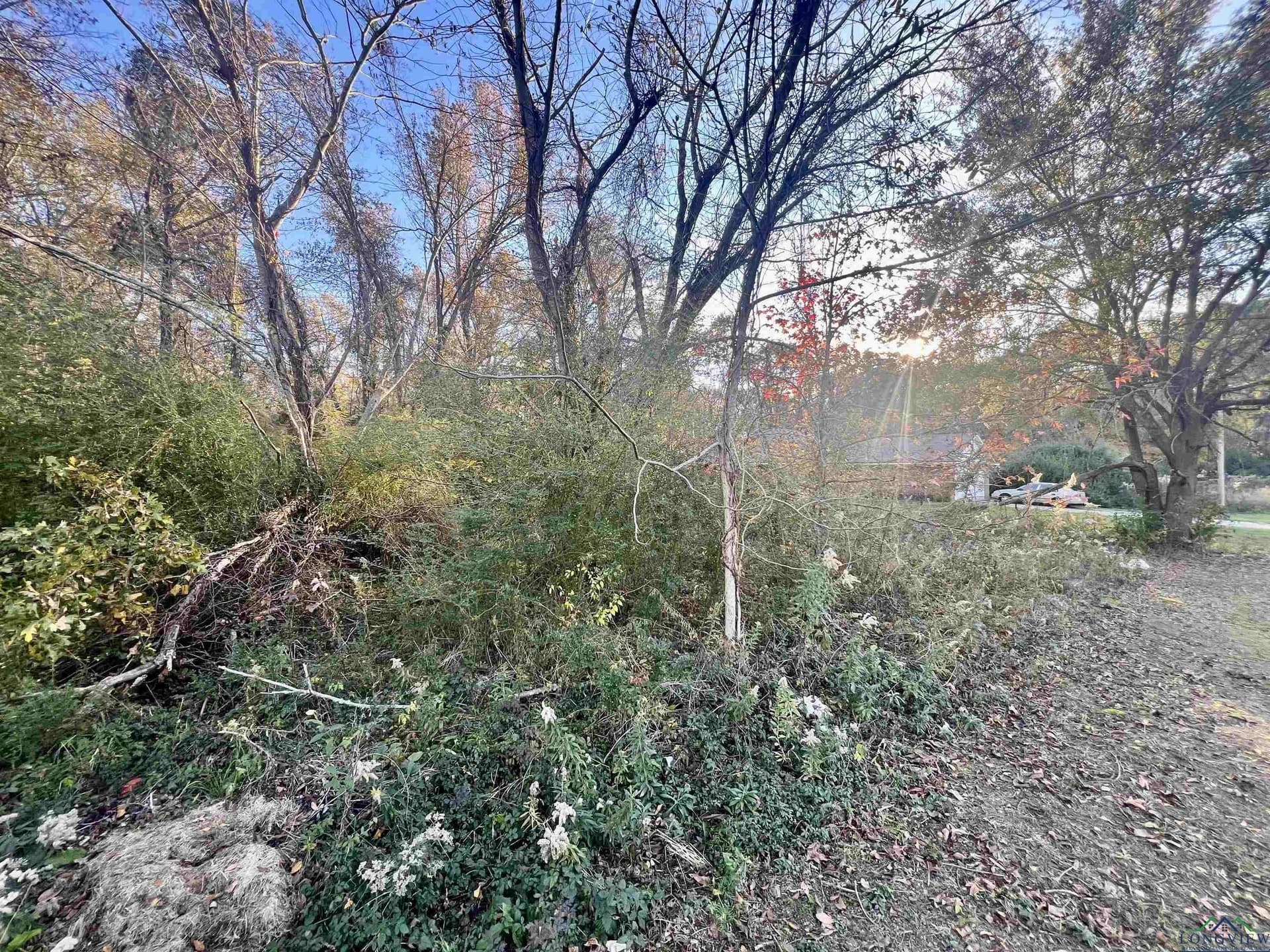 0.46 acres in Harrison County - photo 6