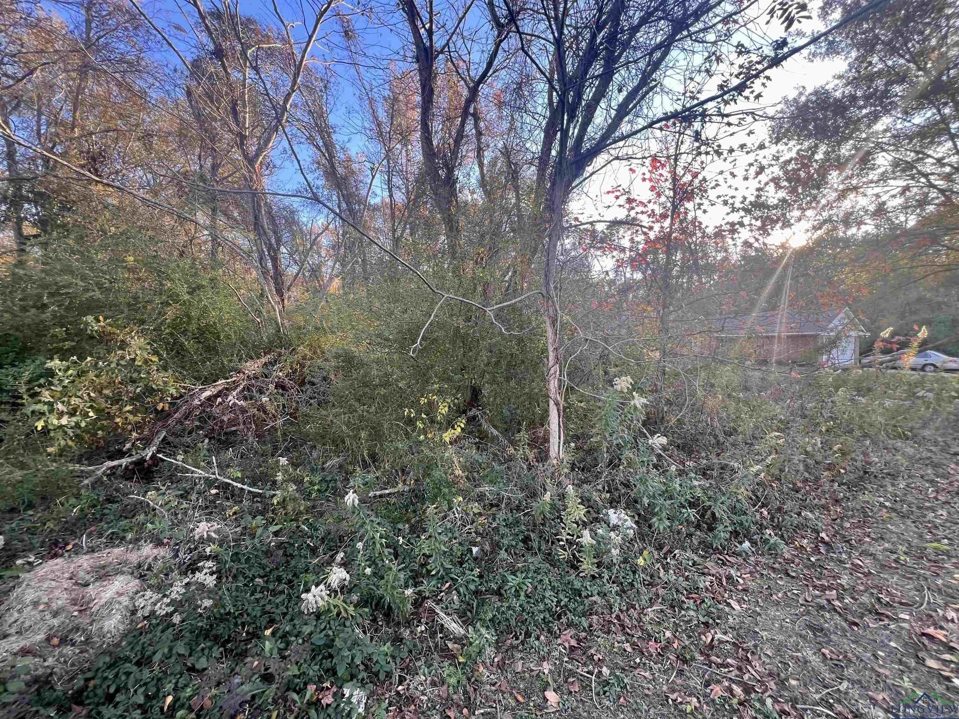 0.46 acres in Harrison County - photo 4