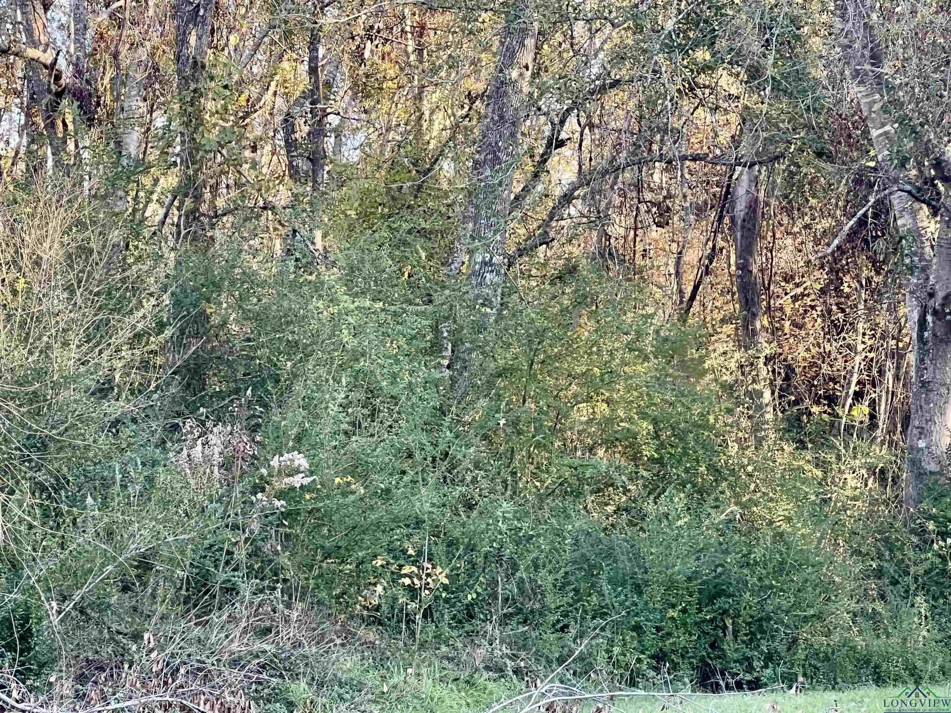 0.46 acres in Harrison County - photo 3