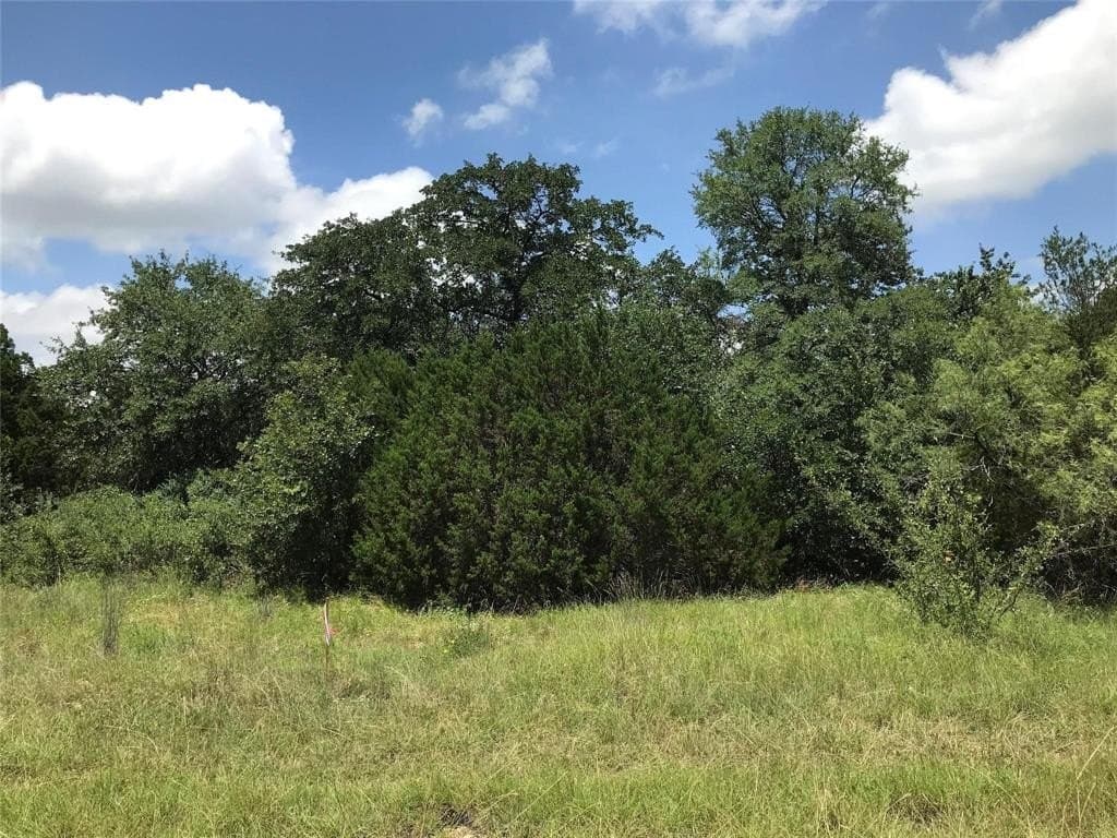 1.51 acres in Palo Pinto County - photo 4