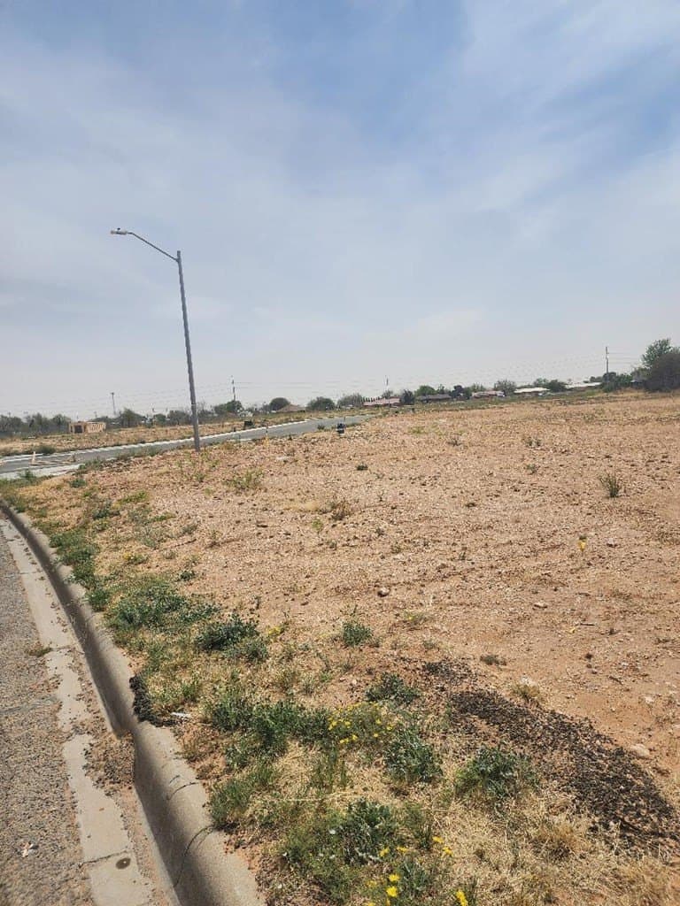 0.23 acres in Midland County - photo 3