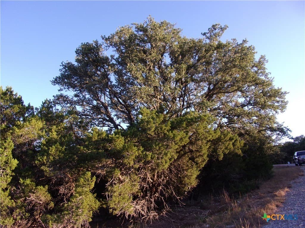 0.37 acres in Comal County - photo 2