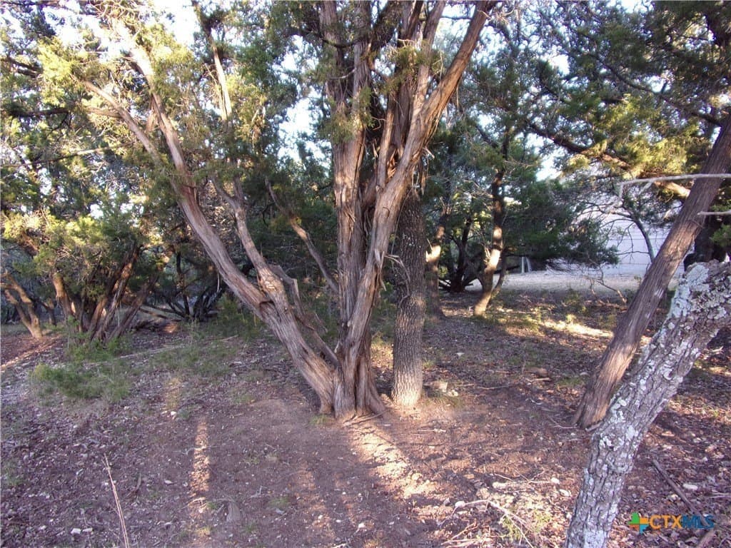 0.37 acres in Comal County - photo 7