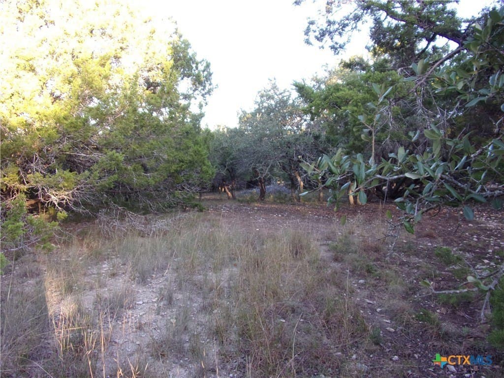 0.37 acres in Comal County - photo 8