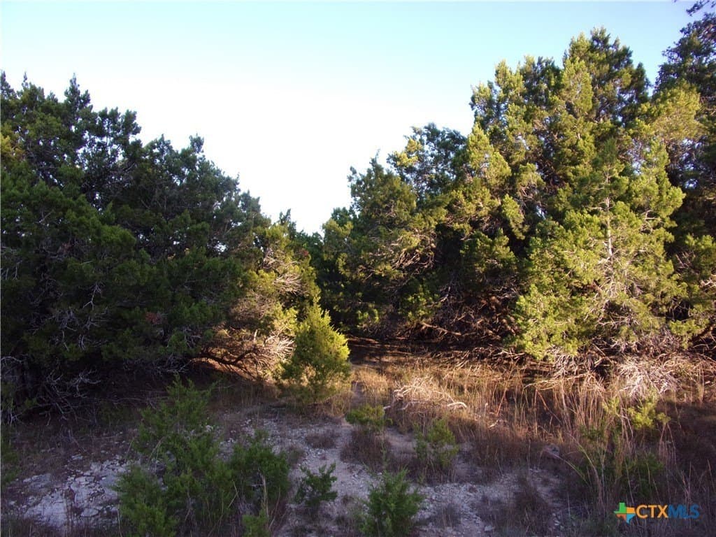0.37 acres in Comal County - photo 11