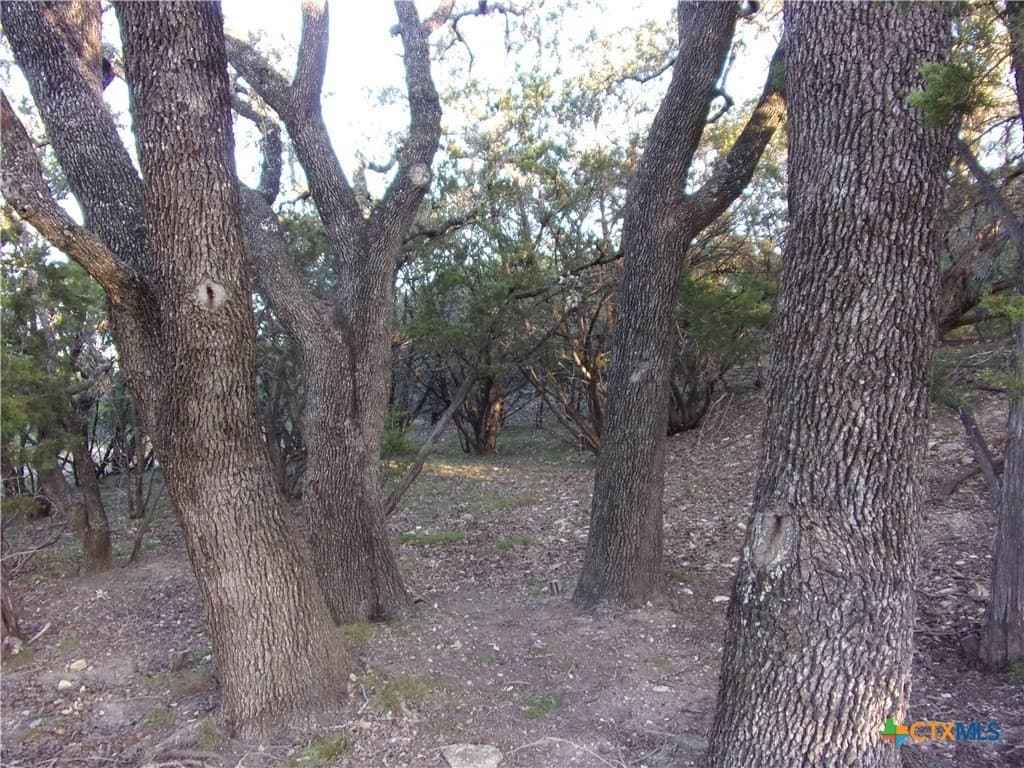 0.37 acres in Comal County - photo 4