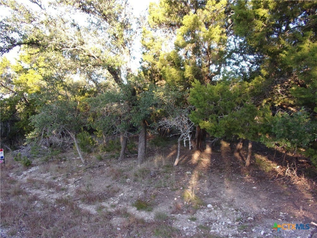 0.37 acres in Comal County - photo 9