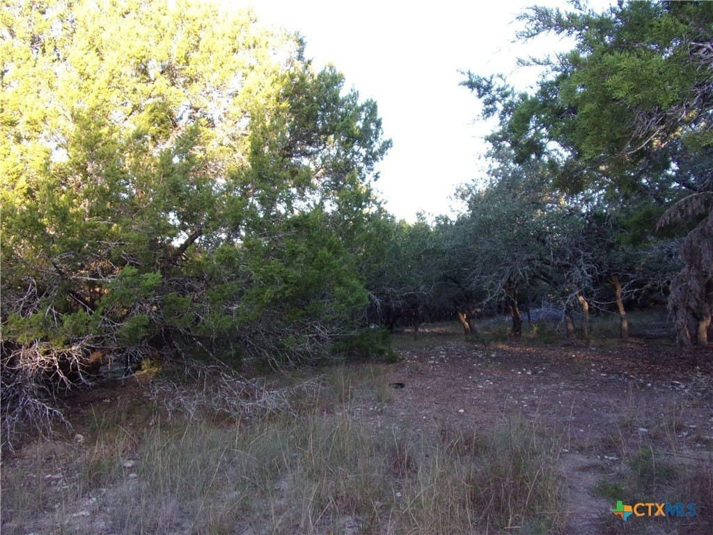 0.37 acres in Comal County - photo 6