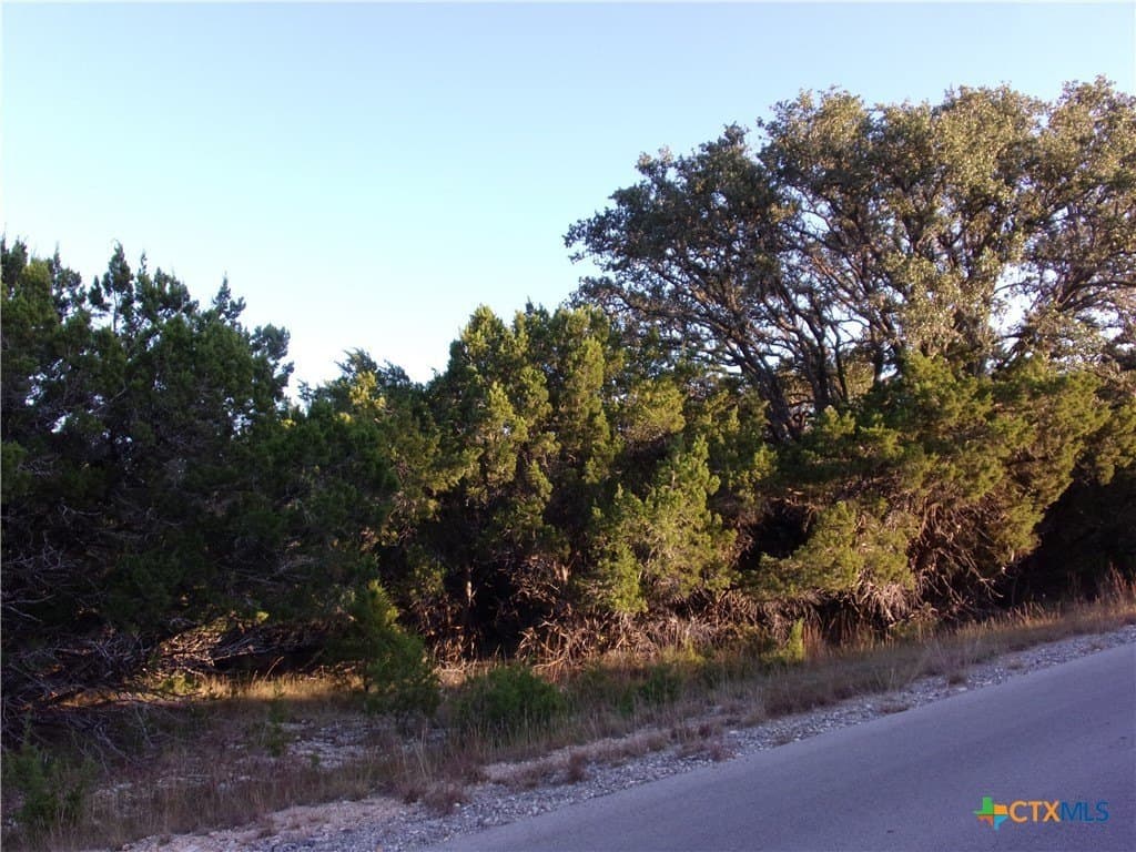 0.37 acres in Comal County - photo 3