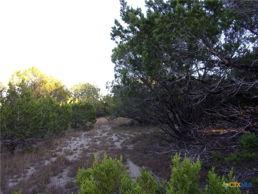 0.37 acres in Comal County - photo 5