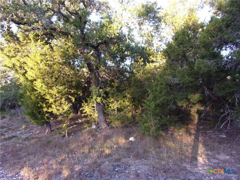 0.37 acres in Comal County - photo 10