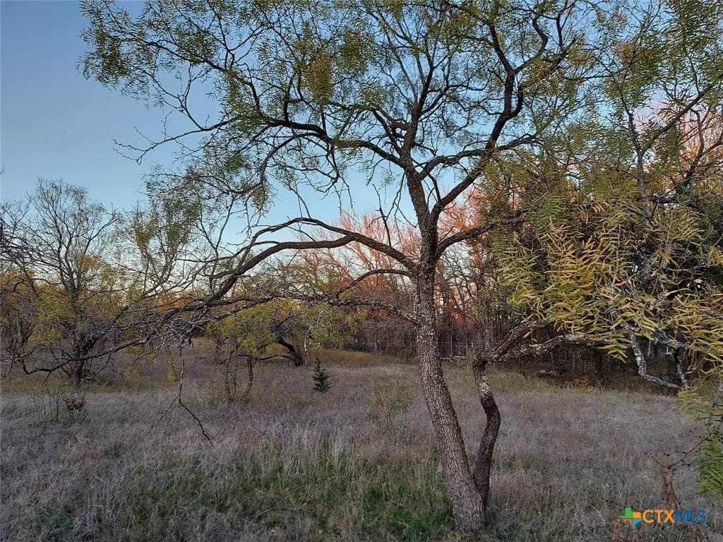 10.02 acres in Comanche County - photo 9