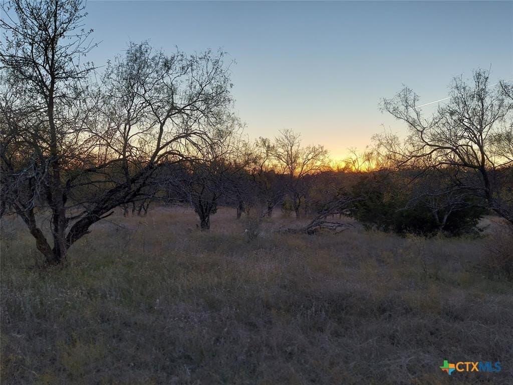 10.02 acres in Comanche County - photo 6