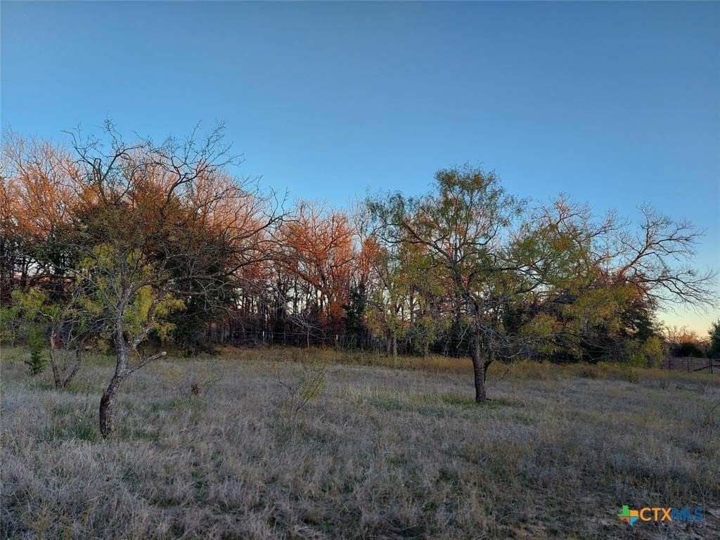 10.02 acres in Comanche County - photo 12