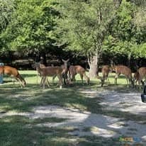10.02 acres in Comanche County - photo 19