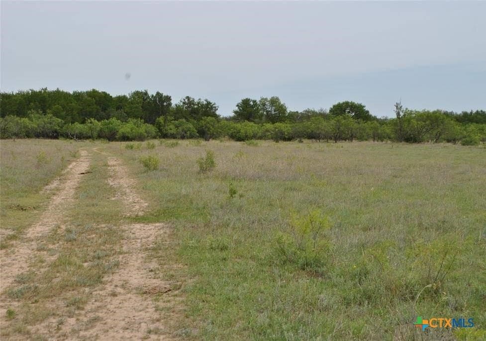 10.02 acres in Comanche County - photo 3