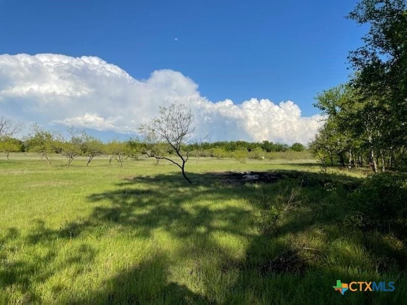 10.02 acres in Comanche County - photo 4