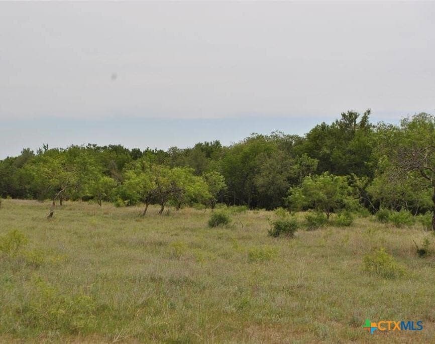 10.02 acres in Comanche County - photo 5