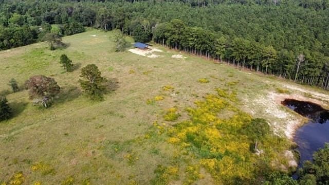 19.34 acres in Texas County - photo 18