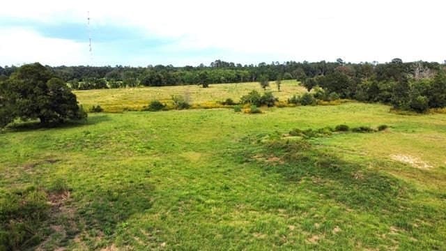 19.34 acres in Texas County - photo 5