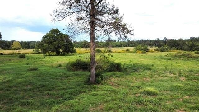 19.34 acres in Texas County - photo 4