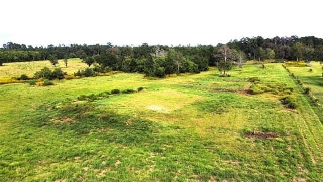 19.34 acres in Texas County - photo 11