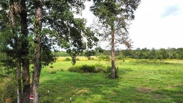19.34 acres in Texas County - photo 10