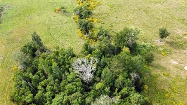 19.34 acres in Texas County - photo 21