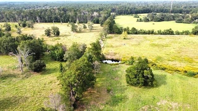 19.34 acres in Texas County - photo 8