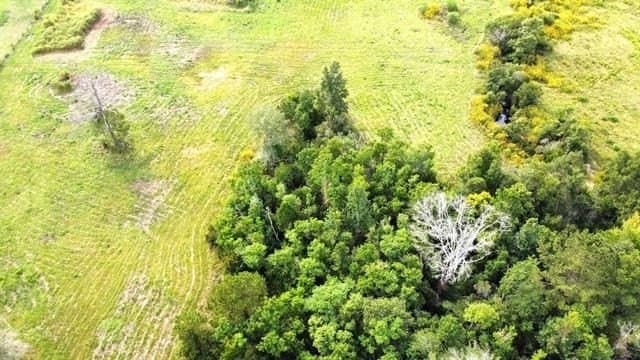 19.34 acres in Texas County - photo 7