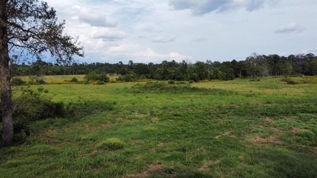 19.34 acres in Texas County - photo 12
