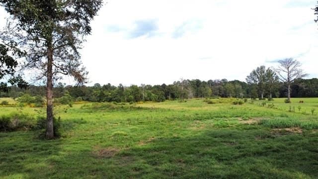 19.34 acres in Texas County - photo 6