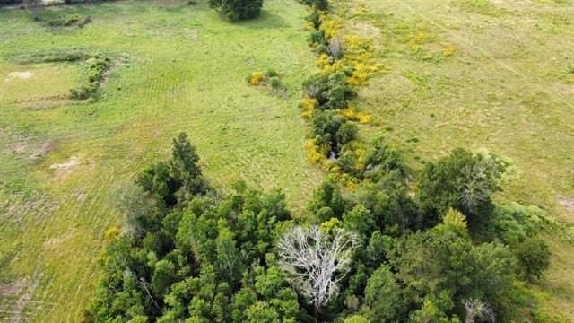 19.34 acres in Texas County - photo 19