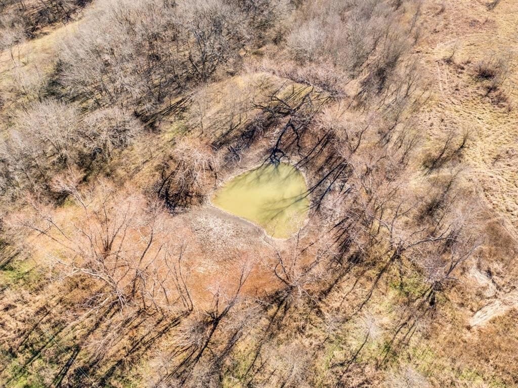 38.5 acres in Ellis County - photo 23