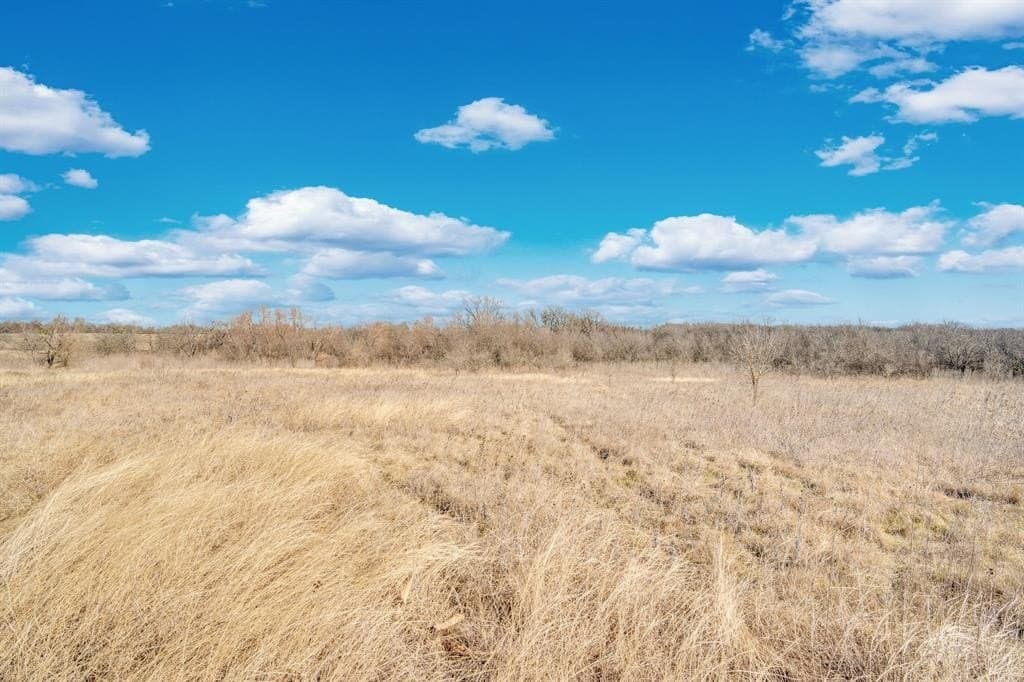 38.5 acres in Ellis County - photo 6
