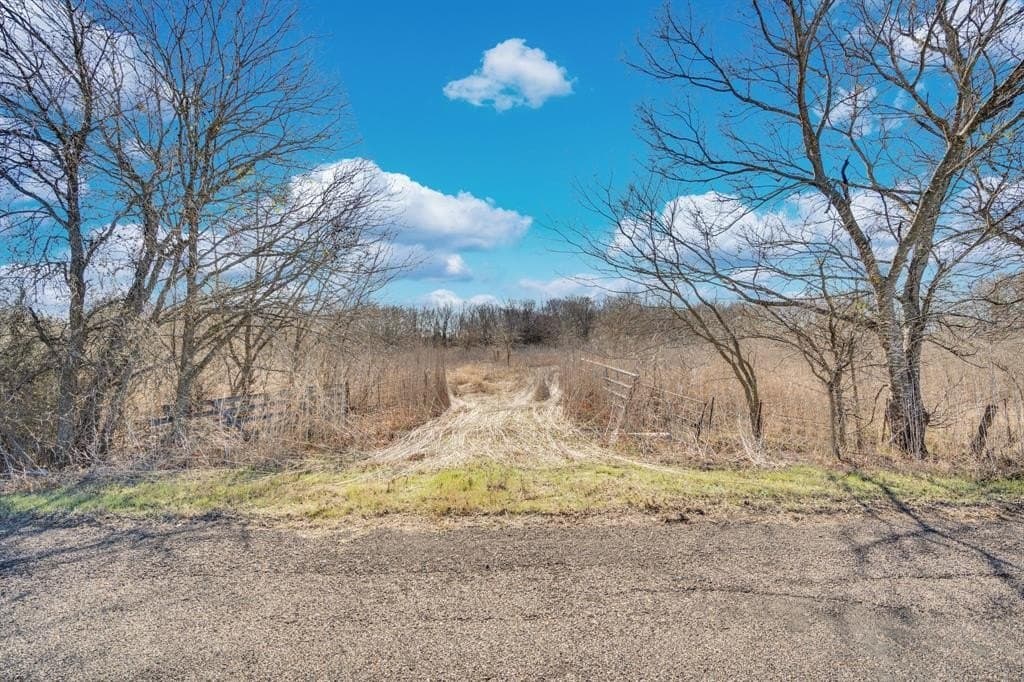 38.5 acres in Ellis County - photo 8
