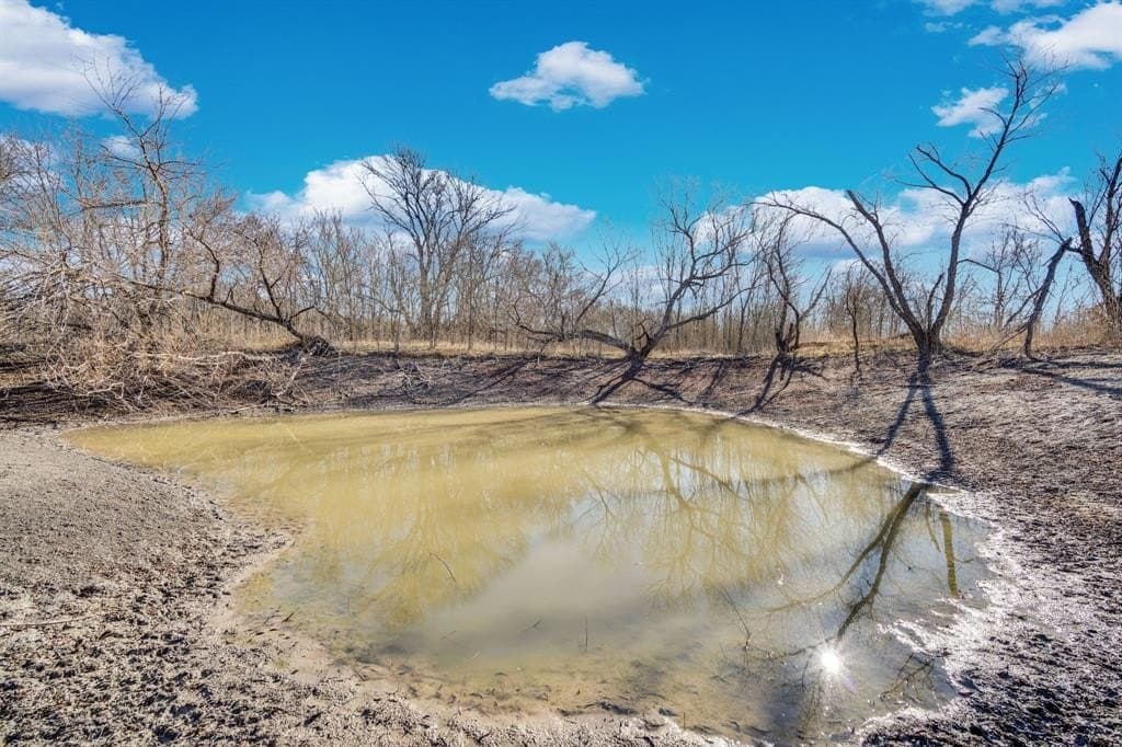 38.5 acres in Ellis County - photo 5