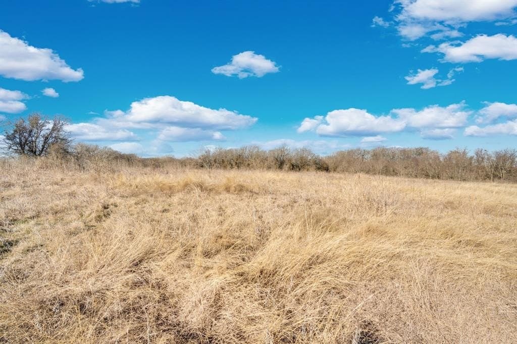 38.5 acres in Ellis County - photo 7