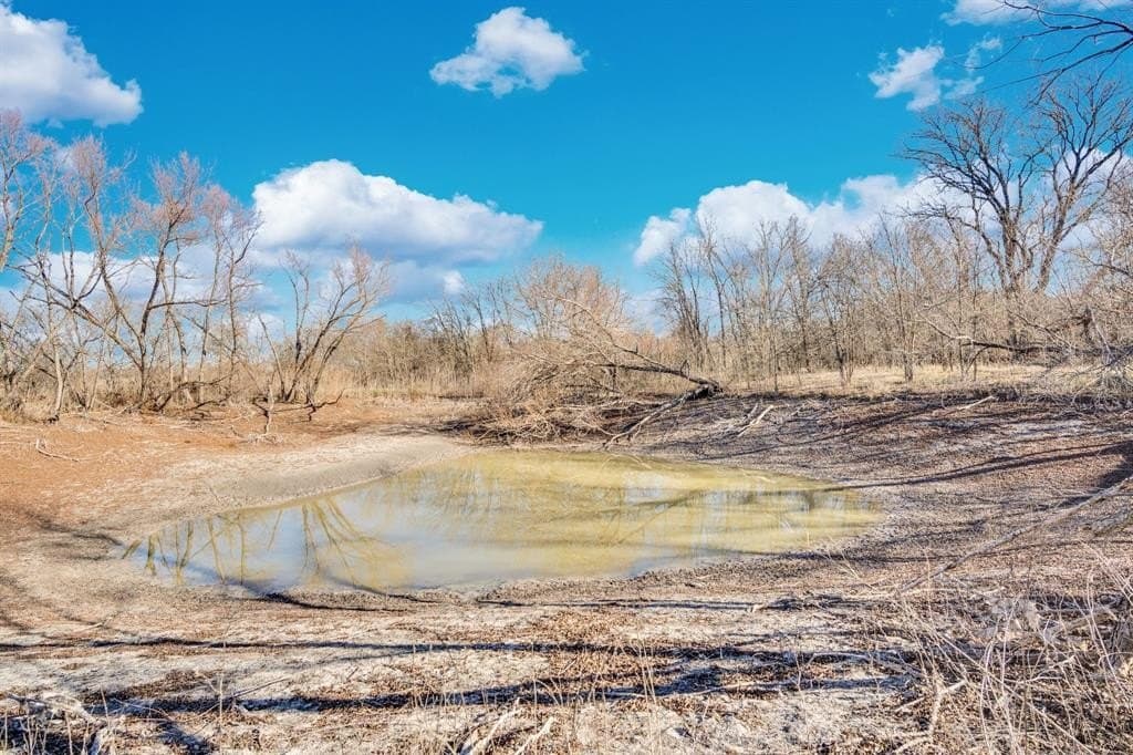 38.5 acres in Ellis County - photo 4