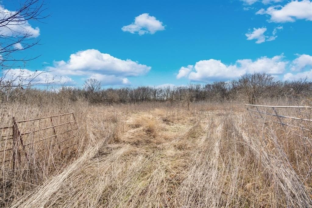 38.5 acres in Ellis County - photo 10